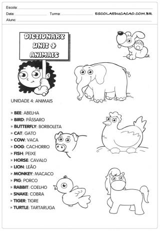 قاموس اللغة الإنجليزية للحيوانات