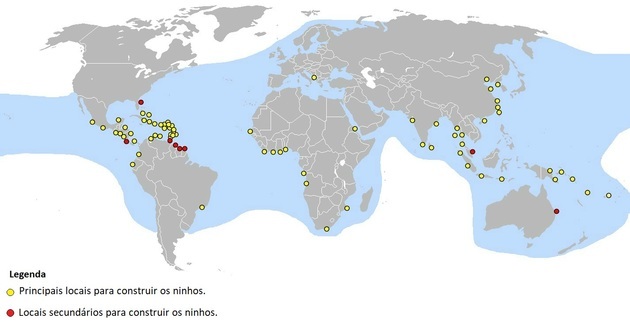 lærskildpadde geografisk fordeling