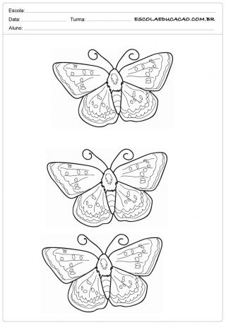나비 곰팡이-29
