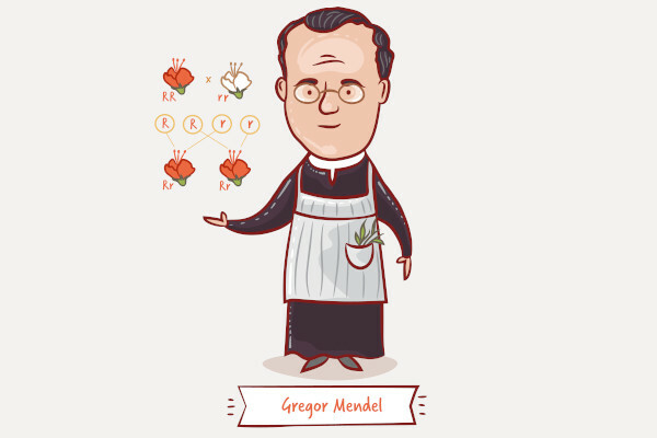 Gregor Mendel leverde een belangrijke bijdrage aan de wetenschap, maar zijn werk werd niet meteen erkend.