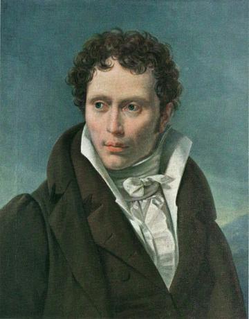 Young Schopenhauer traveled the world and learned languages. These experiences, however, only whetted his philosophical curiosity.