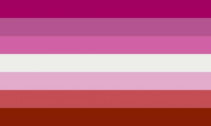 Застава лезбејског поноса са љубичастом, лила, белом, розе, лососом и магента бојама.
