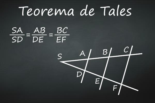 Thales' Theorem: statement, how to apply, examples