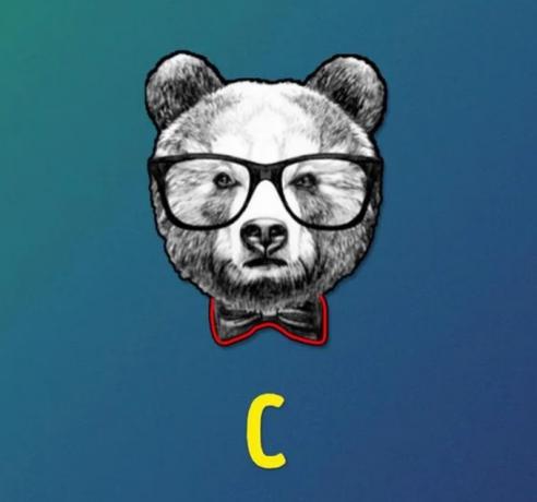 Sfida visiva: riesci a individuare l'orso diverso?