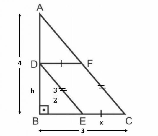 Fuvest 2010 jautājums par trijstūru līdzību