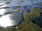Pomen Pantanala (kaj je, koncept in opredelitev)