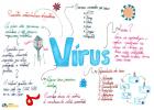 Вирус. Дефиниција вируса и њихова класификација