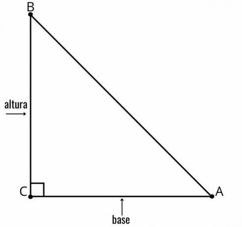 직각 삼각형의 면적: 계산 방법