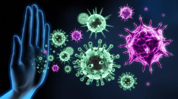 Imunitný systém zabezpečuje ochranu nášho tela pred infekciami.