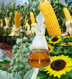 Biobrandstoffen: wat ze zijn, voor- en nadelen