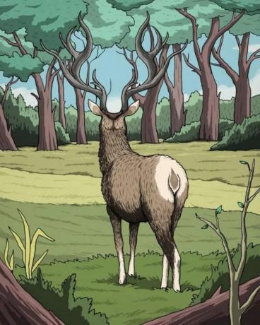 視覚的な課題: 鹿以外にどんな動物が見えますか? もっとよく見なさい！