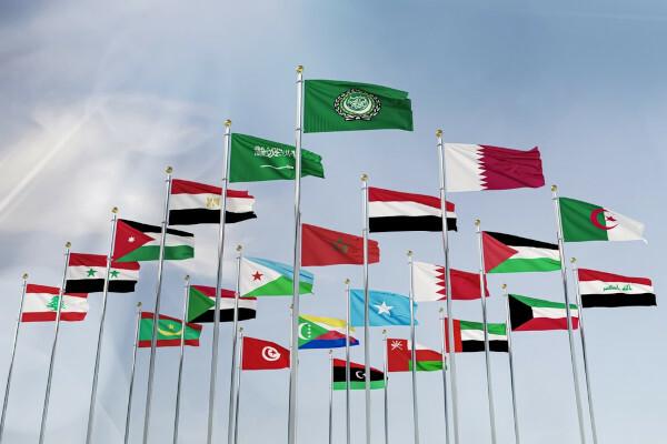 Лига арабских государств: что это такое, краткое содержание, страны, цели