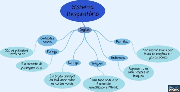 Mind Map om åndedrætssystemet