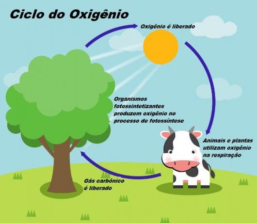 Me кислород. Carbon dioxide and metan of climate change.