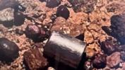Vermiste radioactieve capsule veilig gevonden in Australië