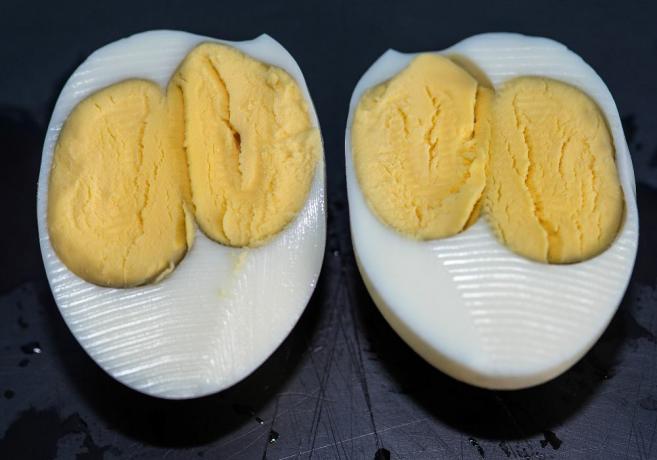 1 つの卵の中に 2 羽のひよこ: 黄身が 2 つあることは可能ですか?