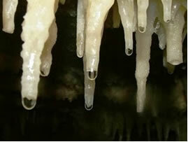 Vand med kalksten drypper til dannelse af stalaktitter og stalagmitter