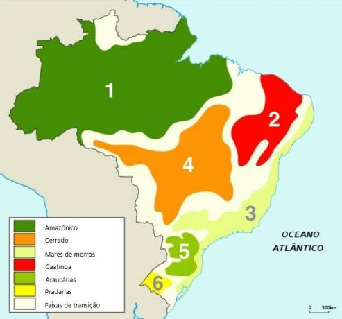 Морфокліматичні домени Бразилії