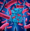 A baktériumok által okozott betegségek: felsorolás, tünetek és kezelés