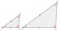 ความคล้ายคลึงกันของรูปสามเหลี่ยมคืออะไร?