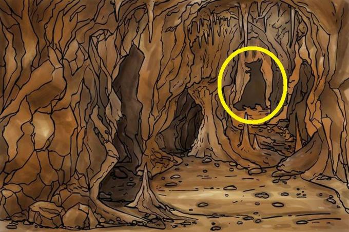 იპოვეთ მგელი: შეგიძლიათ ამ ოპტიკური ილუზია 7 წამში ამოხსნათ?