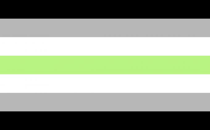 Agender vlag met de kleuren wit, grijs, groen en zwart.