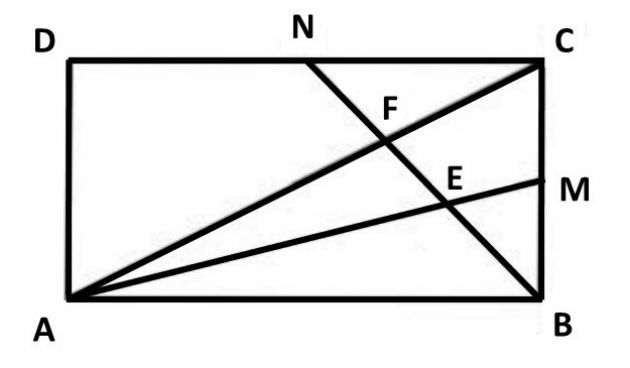 Fuvest 2017 ερώτηση ομοιότητα των τριγώνων