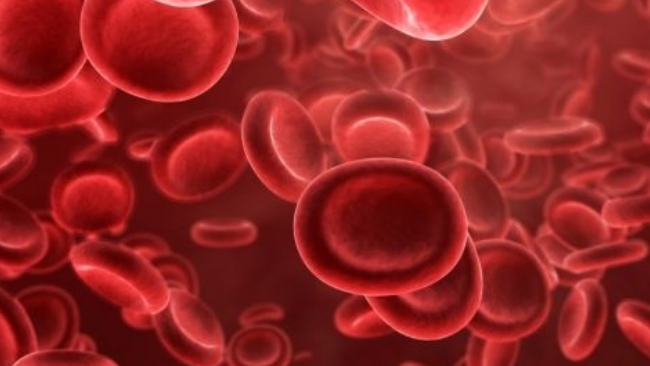 სისხლის წითელი უჯრედები