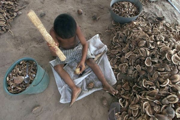 Child Labor in Brazil