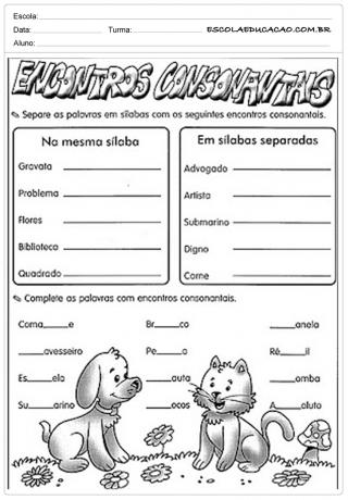 1. år portugisiske aktiviteter - konsonanter