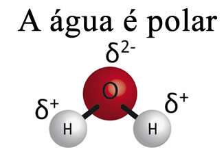 Молекула воды полярна