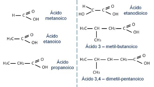 Examples of carboxylic acid nomenclature