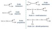 Karboksilne kiseline: što su i nomenklatura