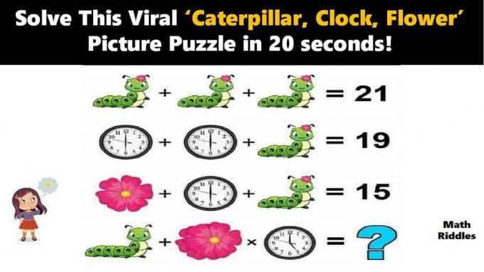 Défi mathématique: trouver la valeur de l'équation 'chenille-horloge-fleur'