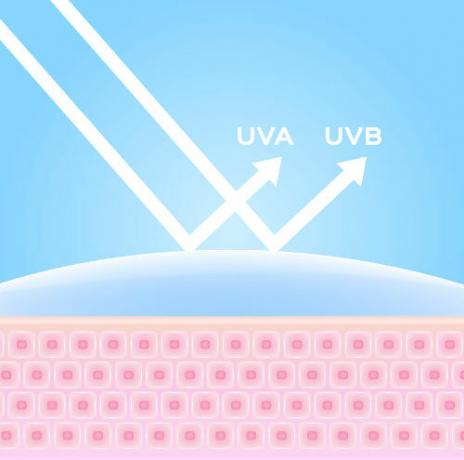 Opalovací krém chrání pokožku před působením ultrafialového záření