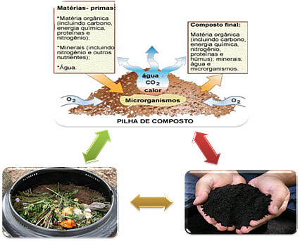 Didascalia: Schema del processo di compostaggio