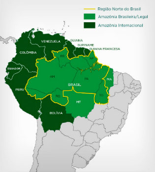 아마존 인터내셔널
