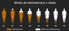 テストステロン：男性ホルモン