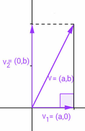 Length of vector v