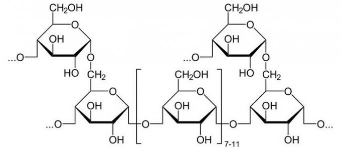 struktura glikogena