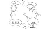 Water cycle: stages, importance and activity