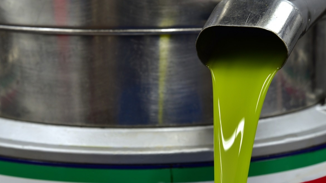 Significato dell'olio d'oliva (cos'è, concetto e definizione)
