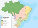 Brasilianske biomer: egenskaber, fauna og flora