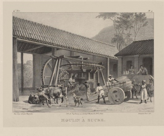 Sukkerrørmølle (1835), av Johann Moritz Rugendas (1802-1858).