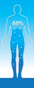 Bedeutung von Wasser für den menschlichen Körper