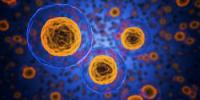 8 superveľmocí buniek ľudského tela