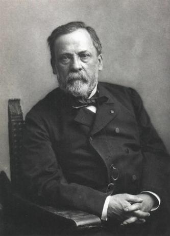 Louis Pasteur: biografi, teorier og oppdagelser