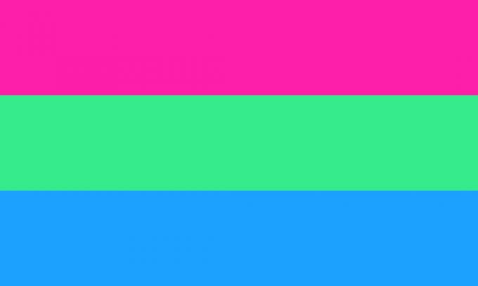 Polyseksuele vlag met roze, aqua en blauwe kleuren.