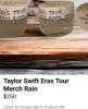 Taylor Swift fans profit from unusual concert souvenirs