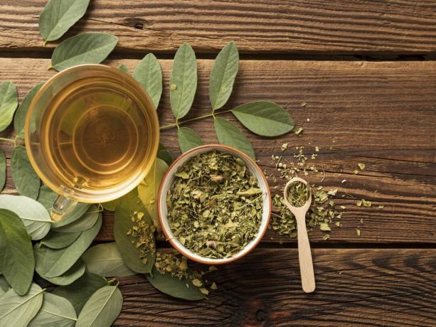Antioxidant, dobrý pro trávení a další: všechny výhody bobkového čaje
